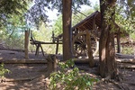 43646pic2.jpg