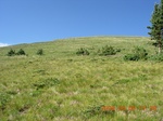 34707PEWA08PP4N.jpg