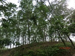 53592CIMG6948.JPG