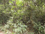 46867DSC02214.JPG