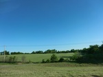 29079CIMG0561.JPG