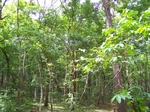 17524100_2785.JPG