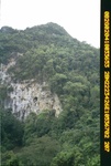 40485Anh3572.JPG
