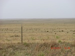 29802CIMG1183.JPG