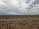 36560CIMG0329.JPG
