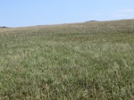 30118CIMG0263.JPG