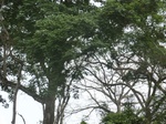 48658CIMG4995.JPG