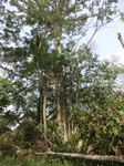 51074CIMG4764.JPG