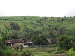 16412IMG_5197.JPG