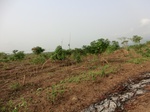 50414CIMG1043.JPG