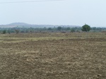 484802052008(43).JPG