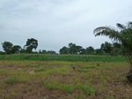18426P1000262.JPG