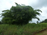 20276P1020131.JPG