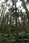 2024-11-21_16-04-23_B823B0AB-A360-492B-8D7C-58A8E3D2E35F.jpeg