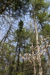 323IMG_3432.JPG