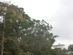 48654CIMG4991.JPG