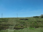 29002CIMG0701.JPG