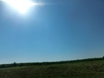 57069CIMG2367.JPG