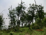 53667CIMG7045.JPG
