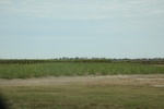 2022-11-18_21-45-43_2F4DAA8A-B324-4DE4-9BD3-69F2877DD080.jpeg