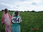 126010164a-rainfed-agriculture-mixed-crop-millet-soyabean-sorghum-doublecrop-wheat-onion.gif
