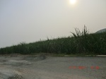 32899CIMG2038.JPG