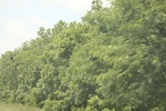 2024-06-17_22-04-46_E0A1BB61-C0AF-4E2B-A154-92D676DF8D83.jpeg