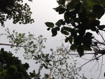50193DSC01992.JPG