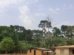 49694CIMG6031.JPG