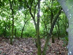 18245P1000081.JPG