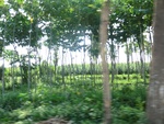 31288CIMG1150.JPG