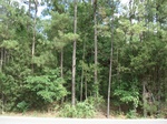 32303p49_s.jpg