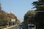 2024-11-21_17-08-42_05EB02BC-CD82-4A3C-9EF3-5C3B0FADA8F4.jpeg