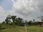 49489CIMG5826.JPG