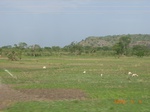 8873nigeria 084.jpg