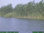 1414R0015156_tag.jpg