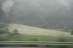 2024-08-05_13-43-54_B0C4FE17-1A82-45CA-B6C9-804A62F36E03.jpeg