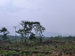 50699CIMG1328.JPG