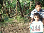 128700244d-irrigated-supplemental-groundwater-banana.gif