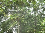 48333CIMG4670.JPG