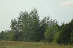 2024-10-10_17-12-18_6EA58A25-4B5F-4EF1-B5A1-F8FFC8575764.jpeg