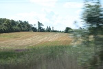 2024-09-24_15-15-56_7B2D1D41-46ED-498D-A272-EAC784215585.jpeg
