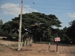 28150IMG_4979.JPG