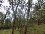 53112CIMG4534_调整大小.JPG