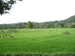 16244IMG_5016.JPG