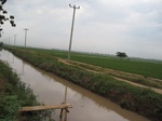 15728IMG_4811.JPG