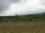 44786CIMG1971.JPG