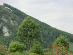 34789CIMG2620.JPG
