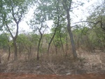 4014RIMG0318.JPG
