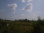 8972RIMG0047.JPG